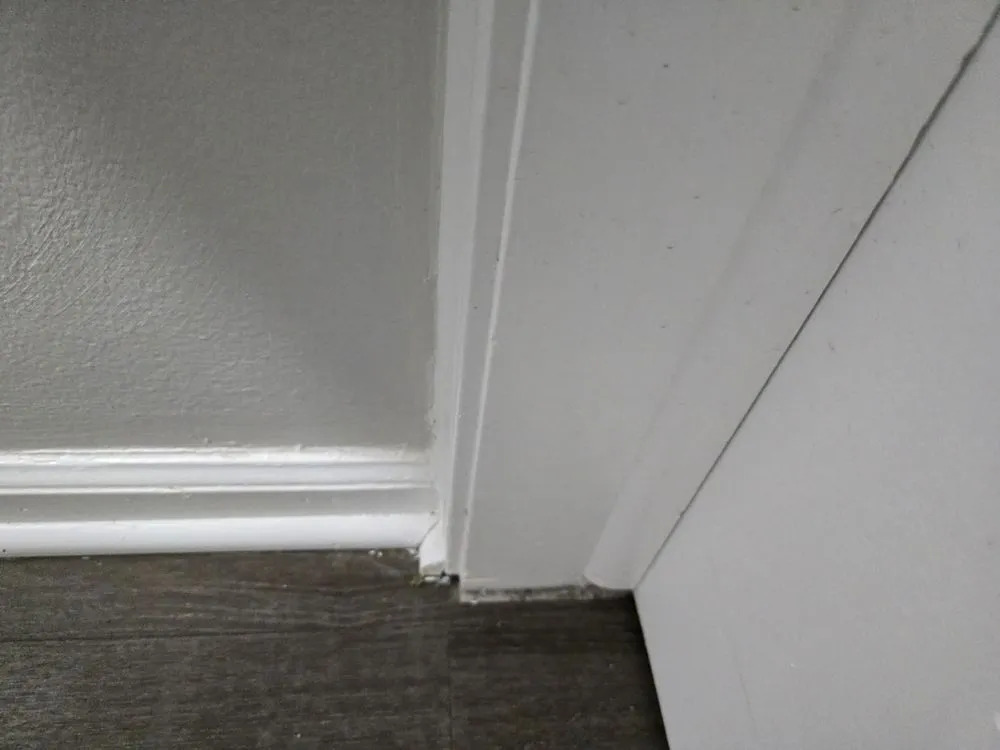 Slide of S&S Property Preservation