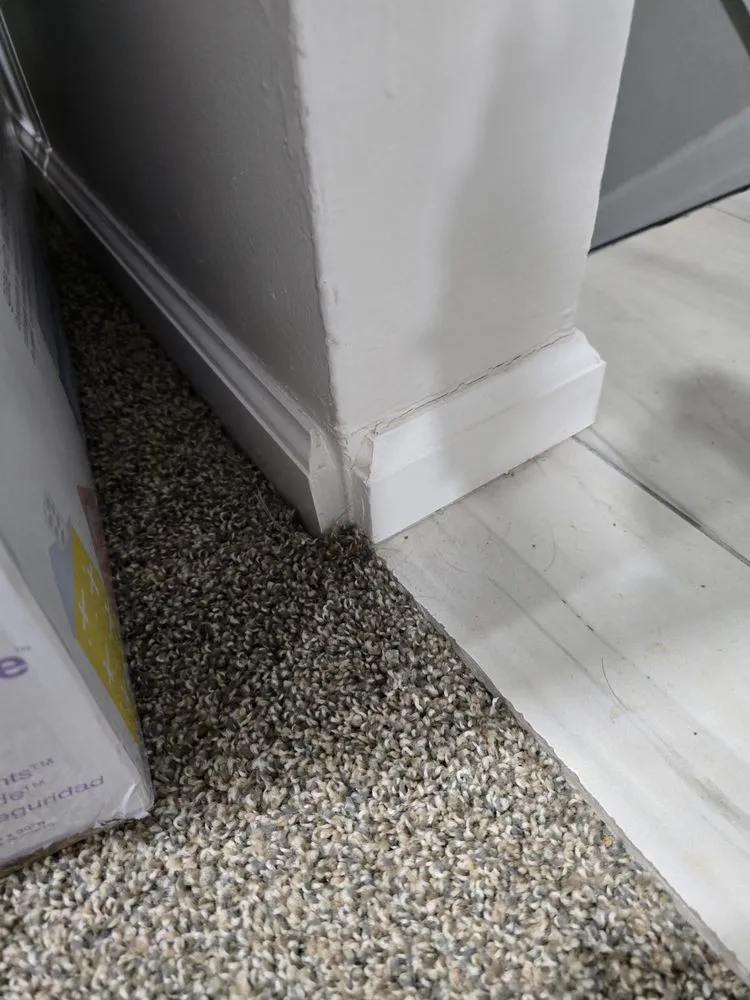 Slide of S&S Property Preservation