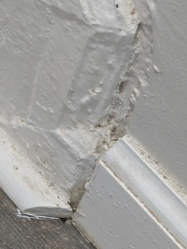 Slide of S&S Property Preservation