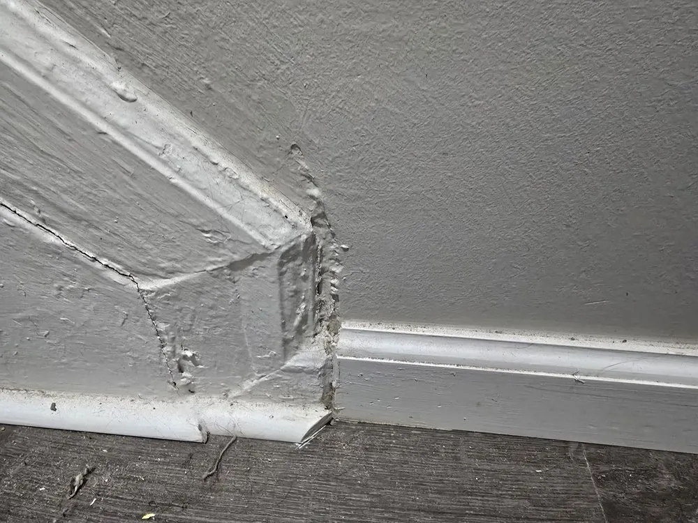 Slide of S&S Property Preservation