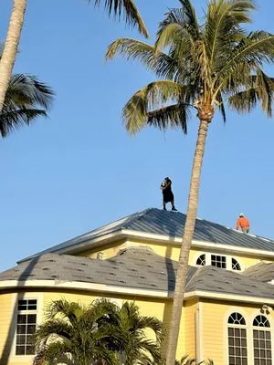 SS Property Solutions & Restoration Logo