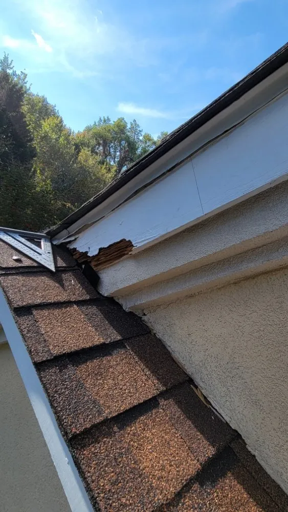 Slide of S.S Roofing