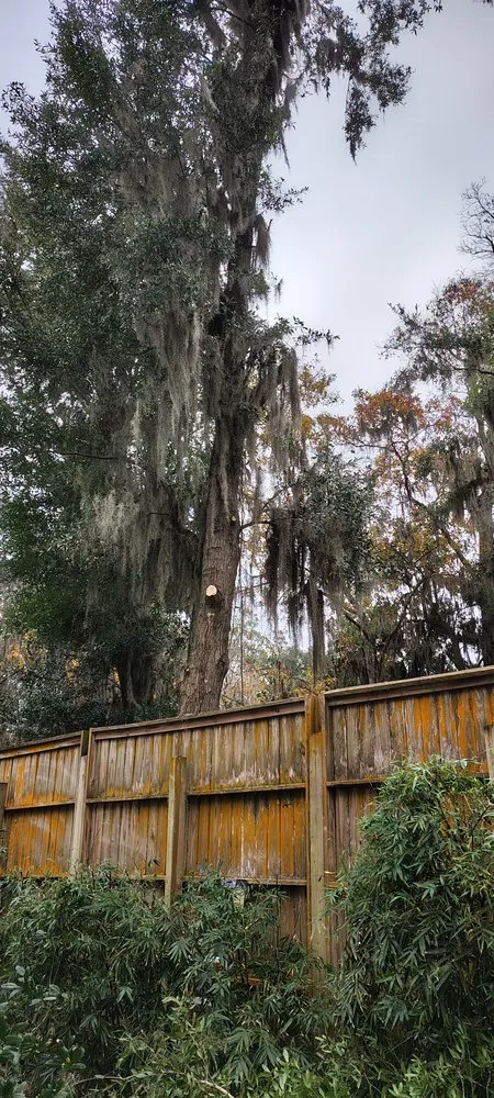 Slide of SSI Construction and Remodeling