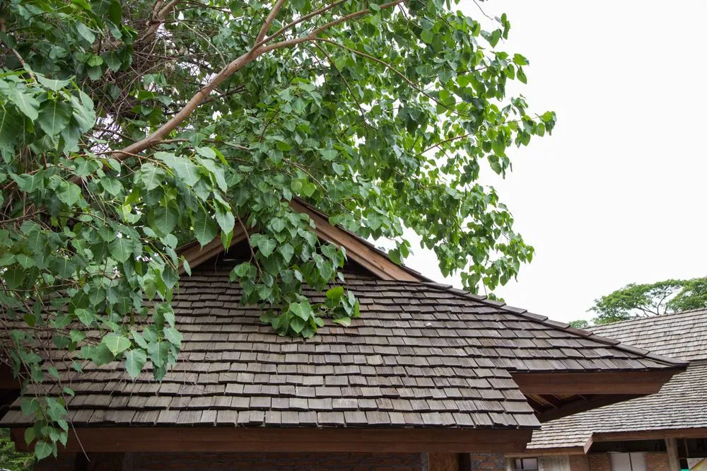 Top-rated residential roofing service in St. Louis, MO by St Louis Synthetic Roofing