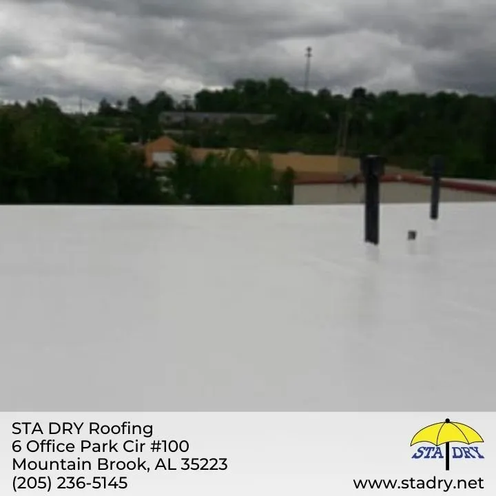 Slide of STA DRY Roofing