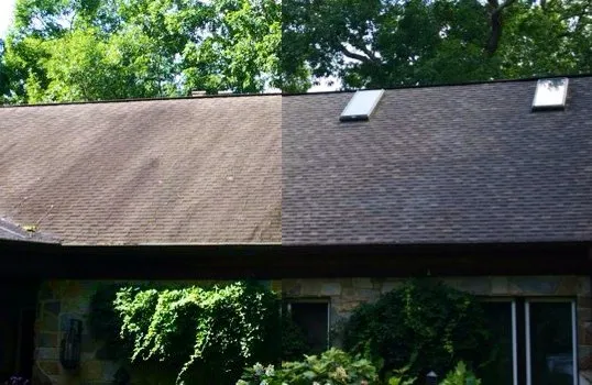 Slide of Stain Medix Roof Cleaning