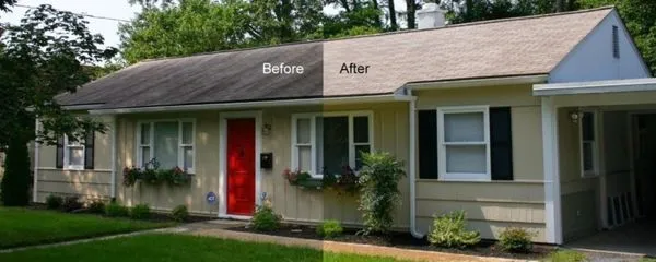 Stain Medix Roof Cleaning