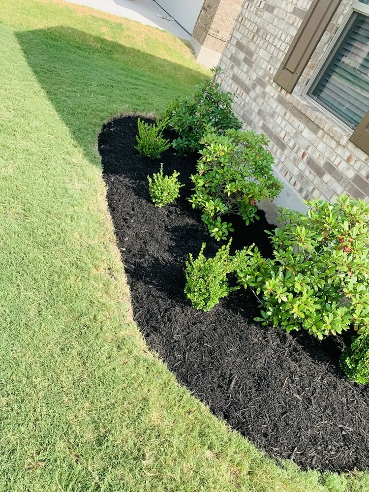 Slide of Stamped Services