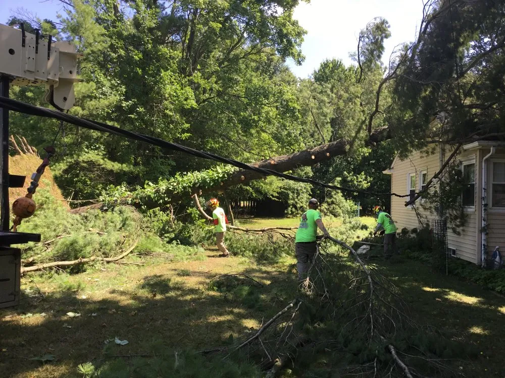 Slide of Standard Roofing