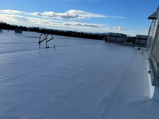 Standard Roofing Solutions