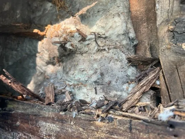 Slide of Stanley Exteriors