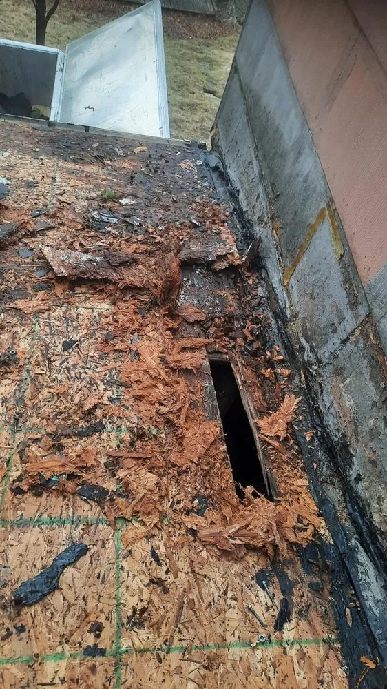 Slide of Star Boy Roofing