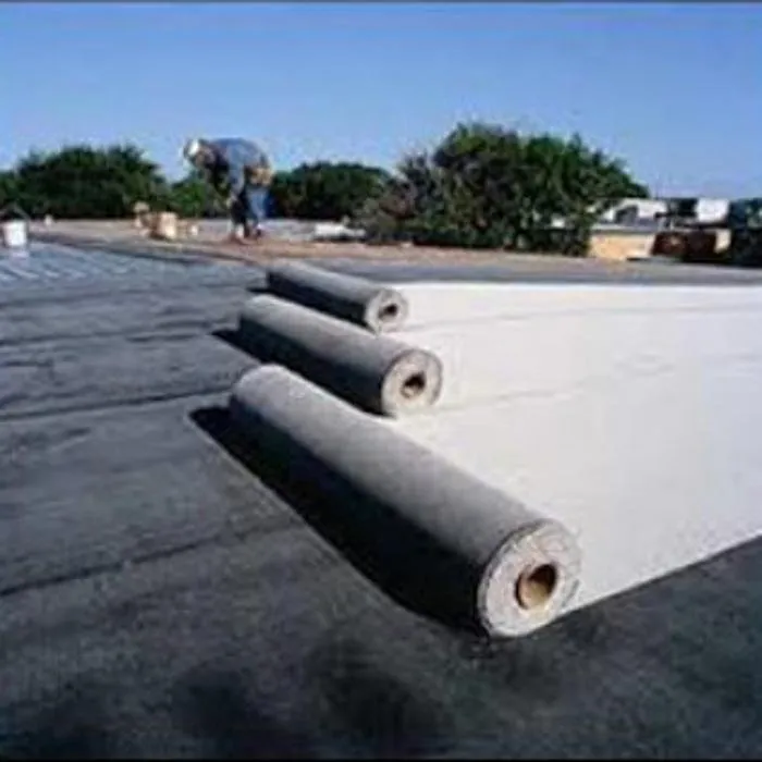 Slide of Star Line Coatings