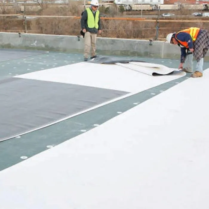 Slide of Star Line Coatings