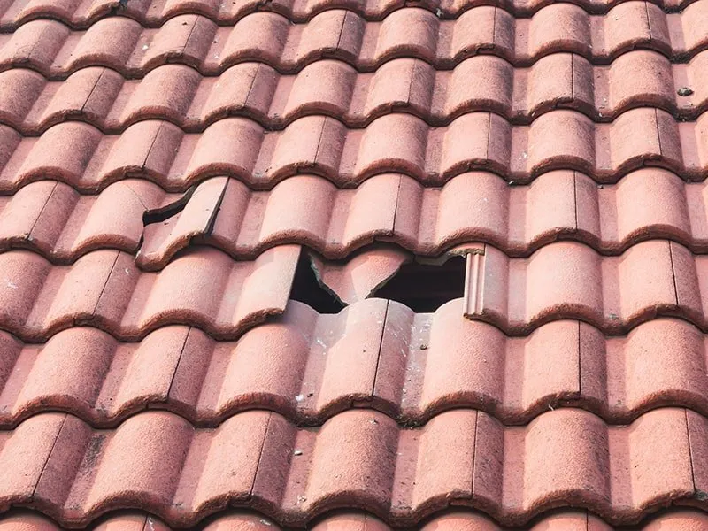 Slide of Star Roofing And Seal Coating