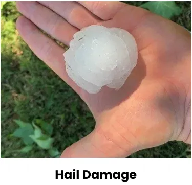 Slide of Statewide Roofing