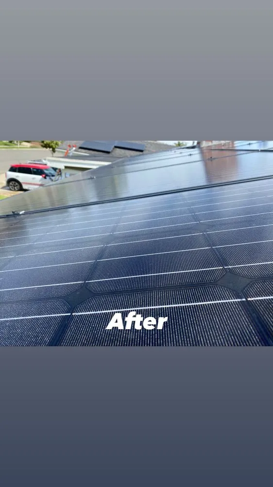 Trusted flat roof repair in Orange County, CA by Stay Clean Solar