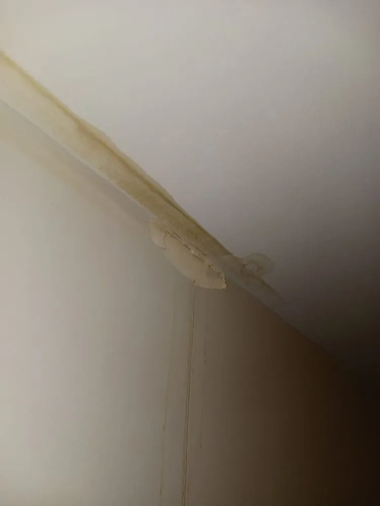 Slide of Stay Dry Roofing