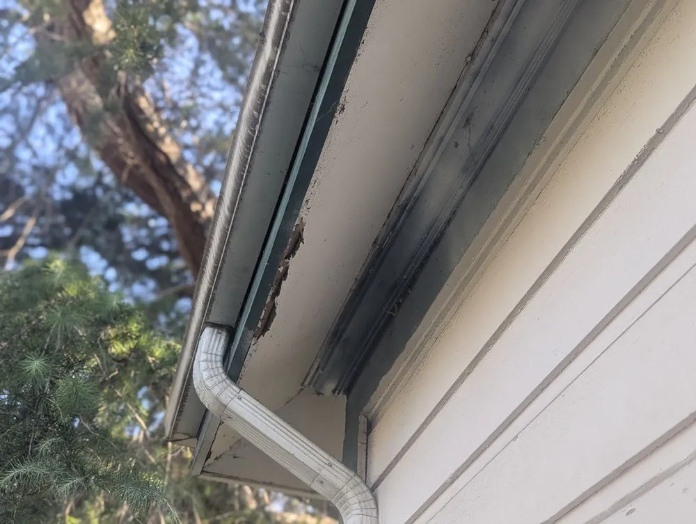 Slide of Steadfast Inspections