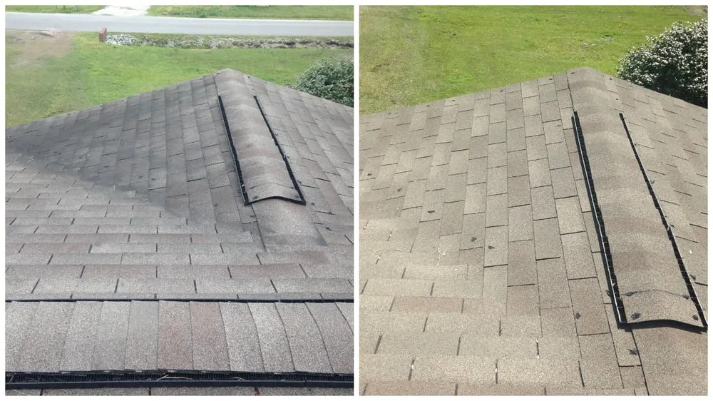Slide of Steady Stream Roof Cleaning And Pressure Washing