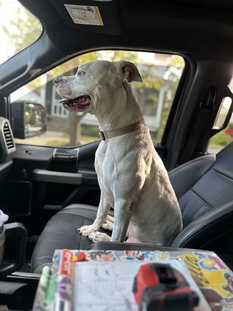 Slide of Steele Roofing & Construction