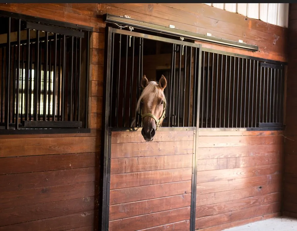 Slide of Stellar Construction