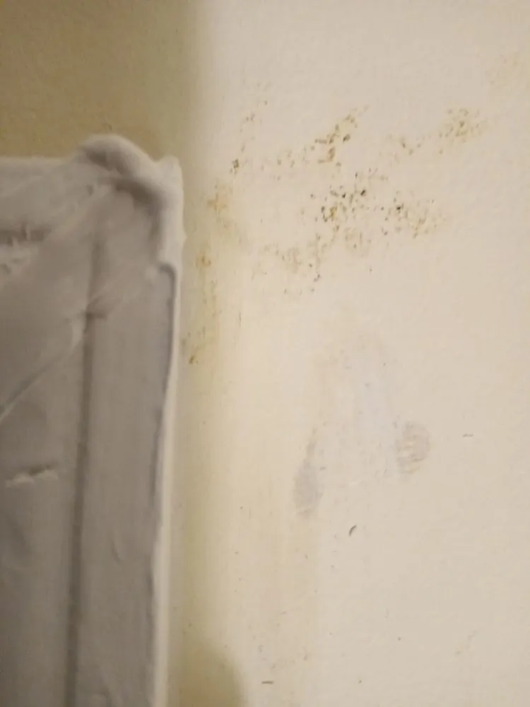 Slide of Step It Up Construction