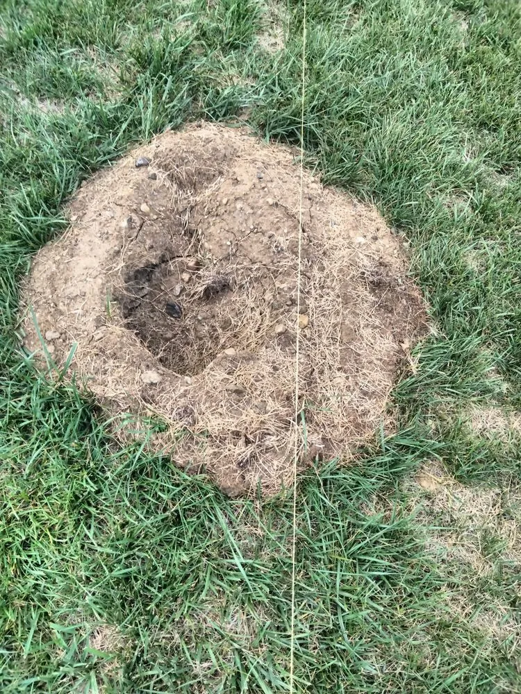 Slide of Stephanie Romo Roofing & General Contracting