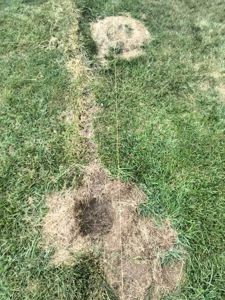 Slide of Stephanie Romo Roofing & General Contracting