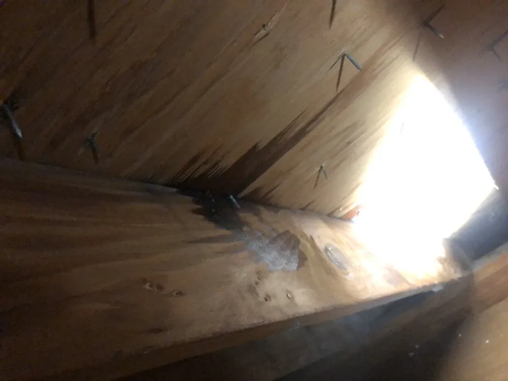 Slide of Stephen T Kelly