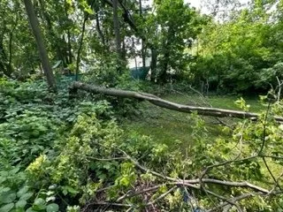 Slide of Steve and Sons All Around Handyman Service