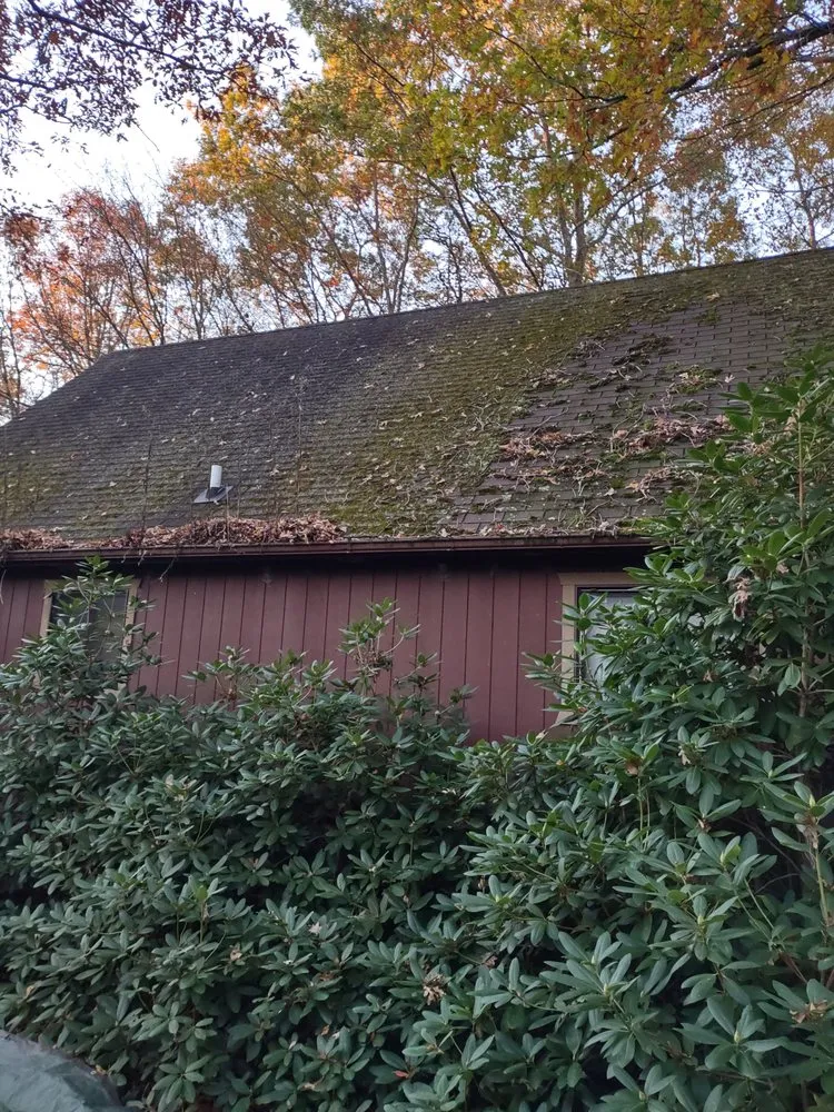 Slide of Steven M Craigie Construction