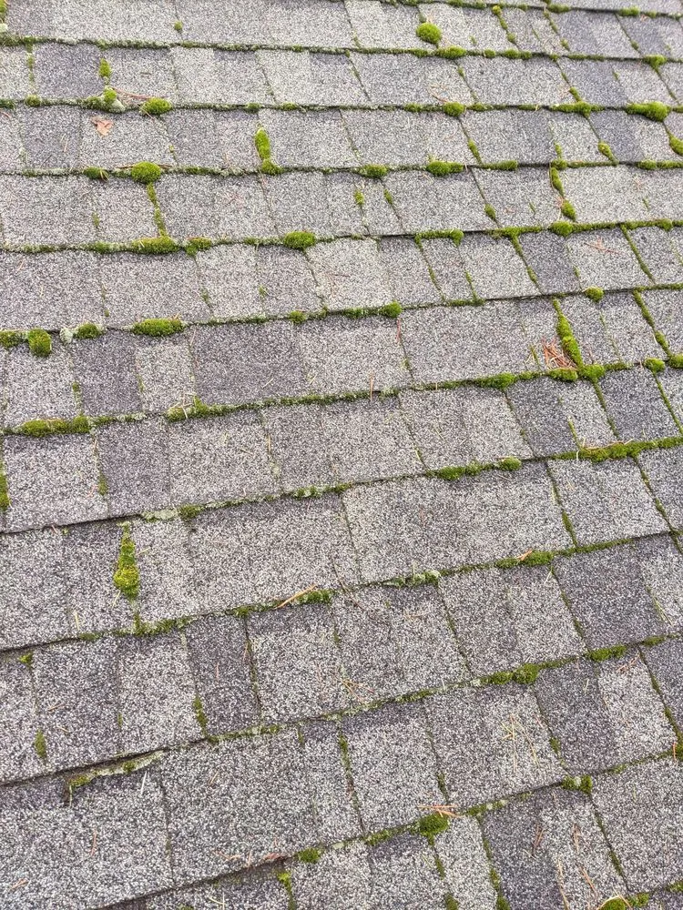 Slide of Stevens Pressure Washing