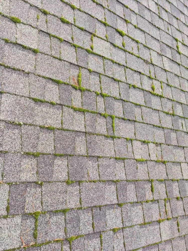 Slide of Stevens Pressure Washing