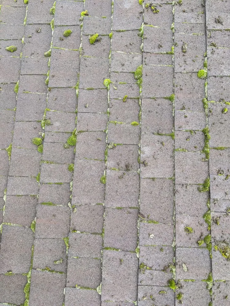 Slide of Stevens Pressure Washing