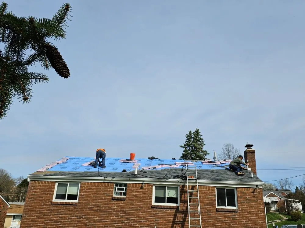 Slide of Stevie D Construction