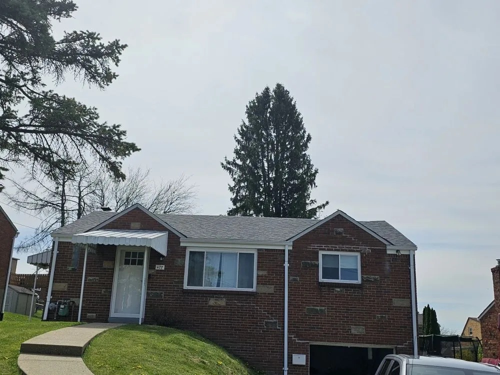 Slide of Stevie D Construction