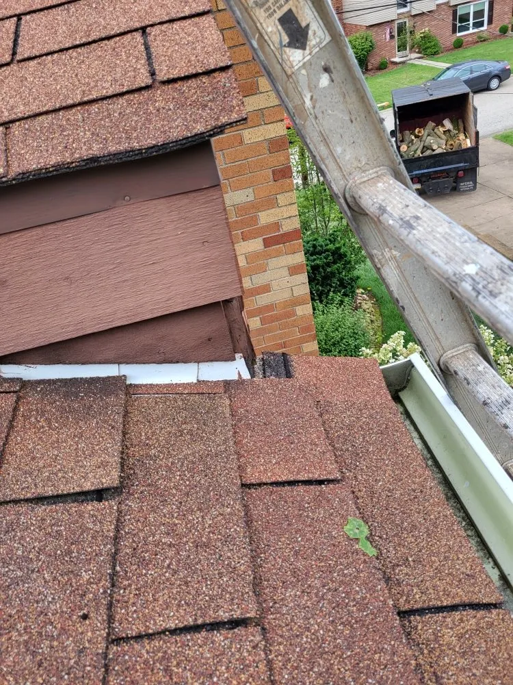 Slide of Stevie D Construction