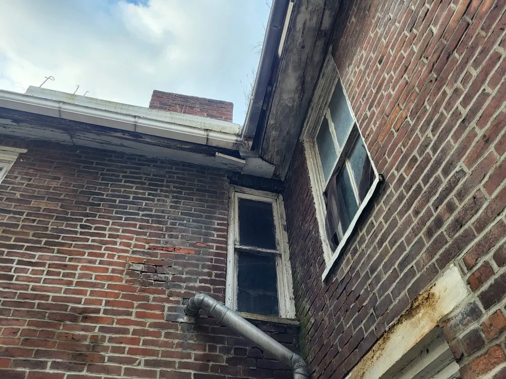 Slide of Stevie D Construction