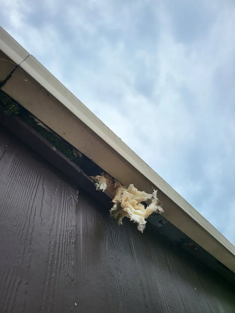 Licensed roof leak repair in Old Hickory, TN by Stewart Exteriors