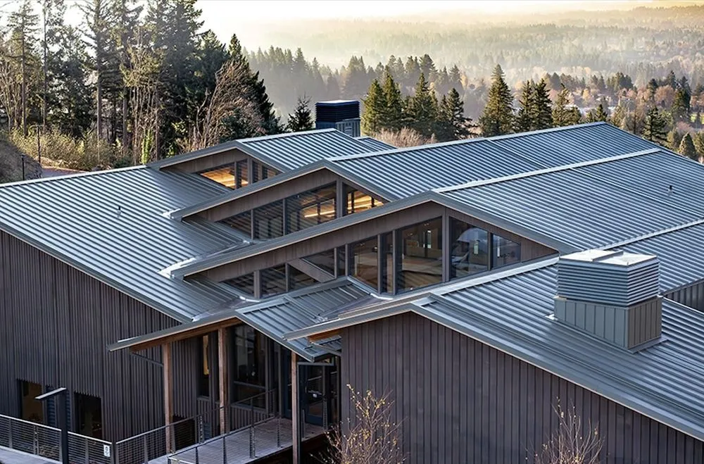 Slide of Sticks & Bricks