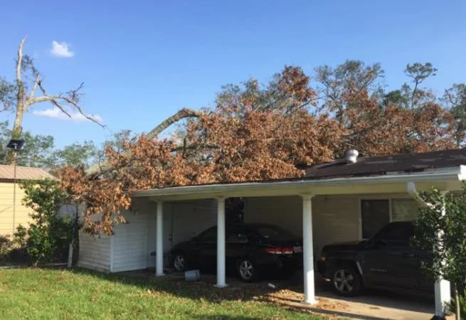 Slide of Still Signature Homes