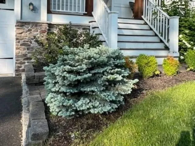 Slide of Stone Master Masonry and Waterproofing