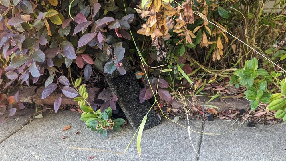 Slide of Stoneridge Roofing