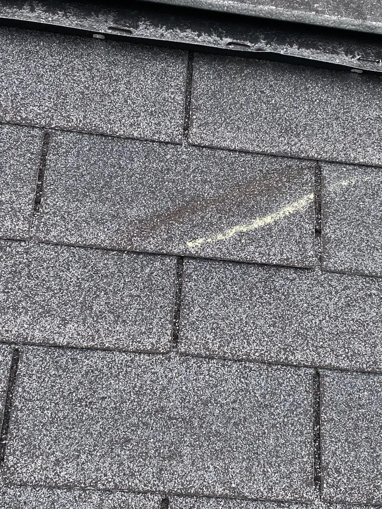 Slide of Storm Bro’s Construction