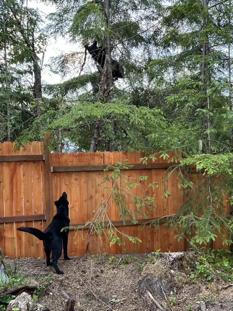 Slide of Storm Front Contractors