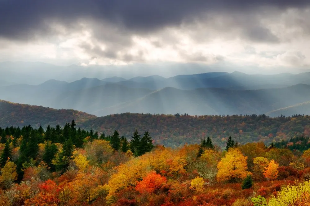 Licensed roof repair experts serving Arden, NC - Storm Guard