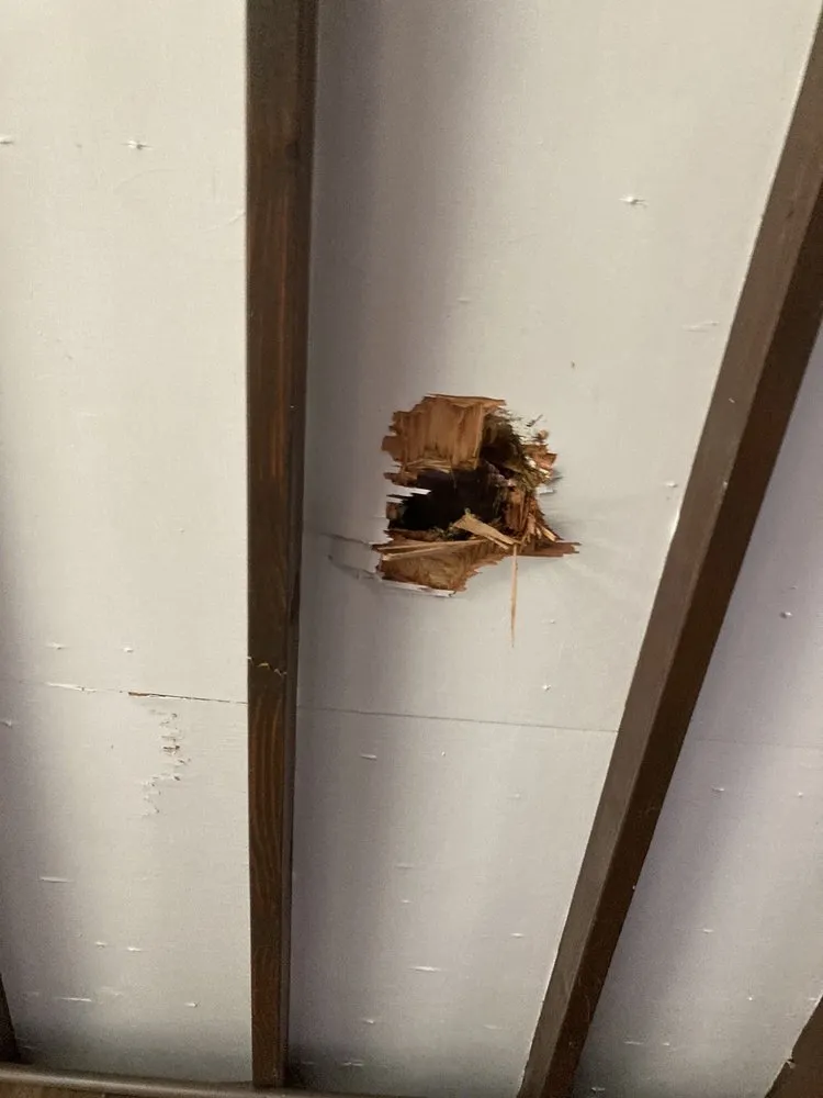 Slide of Storm Guard Roofing and Construction