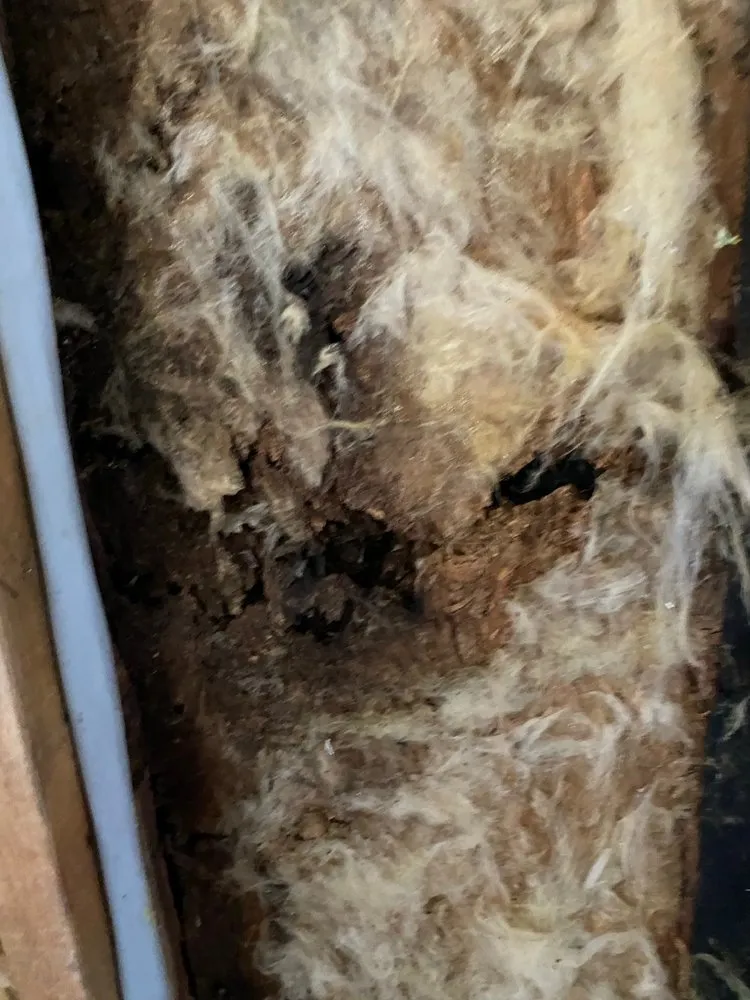 Slide of Storm Roofing