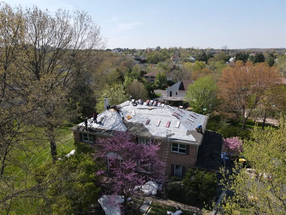 Slide of Stormtrooper Roofing